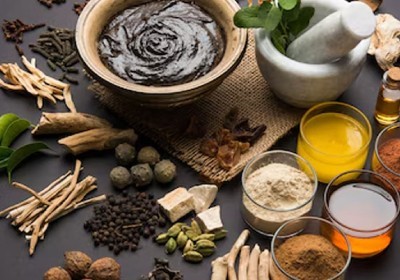 معرفی بهترین گیاهان برای کاهش قندخون