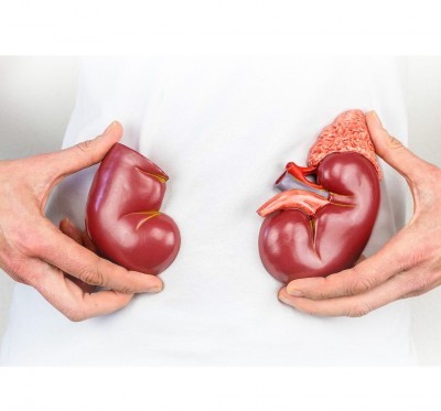 خطر افزایش دو برابری بیماران کلیوی تا 5 سال آینده