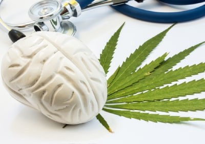 اثرات مخرب ماری جوآنا بر مغز: عمق آسیب‌های جبران‌ناپذیر نوروبیولوژیک